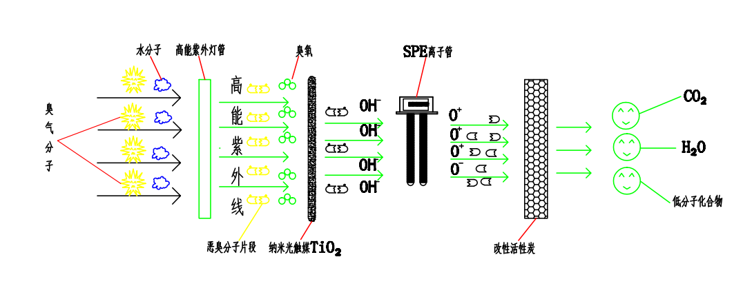 15186186506073.png 1.png