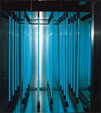 17120693627483.jpg 17120693627483.jpg